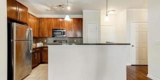 Berkeley Park Gallery 14