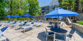 ARIUM Lenox Park Gallery 18