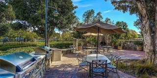 1421 Abelia Gallery 5
