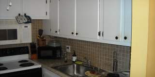 259 Sussex M Gallery 6