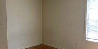 408 Allyson Drive Gallery 9