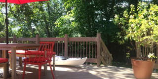 Spacious 3 Bedroom Home with Central Air in University Heights! Gallery 4