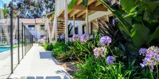 La Jolla Canyon Gallery 29