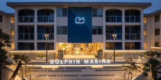 Dolphin Marina Gallery 16
