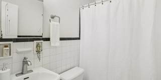 Shelton Apartments Gallery 11
