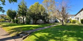 315e19 Gallery 3
