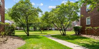 Shore Gardens Gallery 18