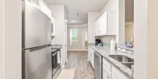 Olympus Fenwick Gallery 2