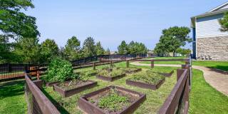 The Retreat at Park Meadows Gallery 46