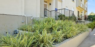 Clarington Court Gallery 20