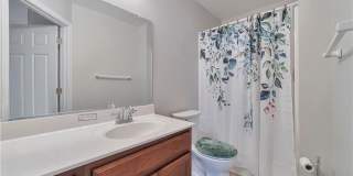 2545 Mountain Ash Circle Gallery 24
