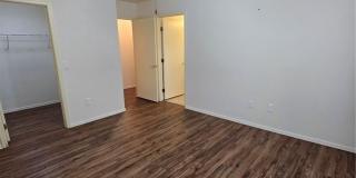3117 Birch Grove Court Gallery 13
