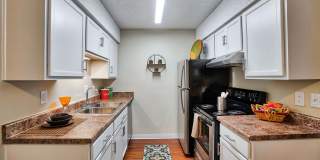 Royal Palms Gallery 10