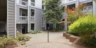 Charming 2BR Condo in Raleigh Gallery 5