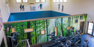 The Seasons Gallery 24