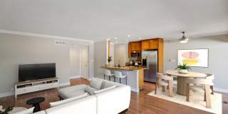 Bay Tree Gallery 53