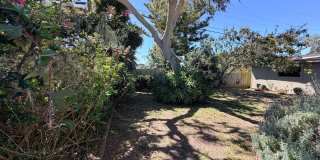 3 Bed and 3 Bath Home Located Off of Forest Ave Gallery 48