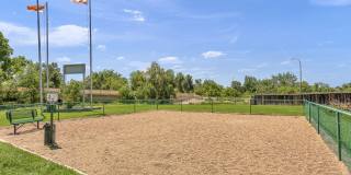 Canopy Creek Apartments Gallery 16