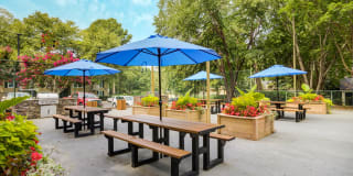 Laurel Oaks Gallery 7