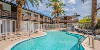 Arcadia Haus Gallery 12