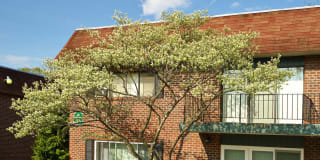 Sherwood Terrace Gallery 8