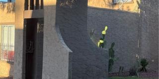 4607 Monterey Circle Gallery 1