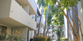 The Ray Apartments Gallery 29