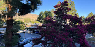 46856 Fernald Common Gallery 1