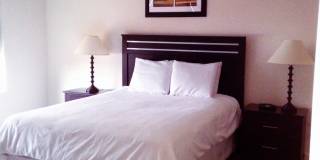 24 N Main Street - 2A Gallery 1