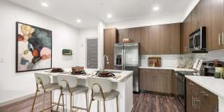 Lamar Union Gallery 16