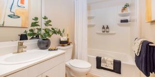 Solasta Solasta Gallery 8