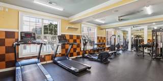 Beautifully updated and move-in ready, this fully remodeled 1-bedroom, 1-bath condo offers an open layout with high ceilings and an abundance of natural light throughout located in the Westshore District! Gallery 11