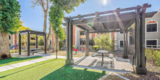 Bella Solara Gallery 14