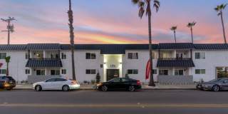 Ocean Breeze Terrace Gallery 61