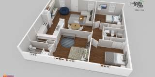 Spring Pine Gallery 39