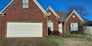 Available Now! Gallery 1