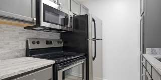 29656 Buffalo Park Road - #206 Gallery 5