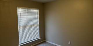 8803 Patricia Lynn Ln Gallery 14