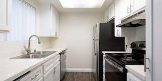 The Pacific at Mission Bay Gallery 3