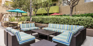 Hampshire Place Gallery 33