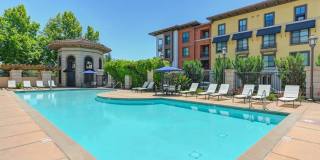 Renaissance Square Gallery 8