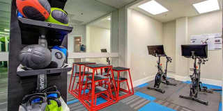 Elevate Long Beach Gallery 22