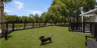 The Henslow Daniel Island Apartments & Townhomes Gallery 48