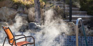 The Palms The Palms Gallery 2