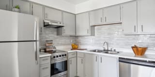 Palomar West Gallery 2