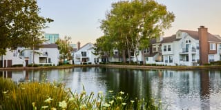 Schooner Bay Apartment Homes Gallery 10