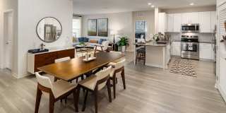 Shadetree Gallery 21