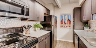 Elm at Panorama Gallery 5