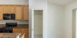 718 Tiffany Bend Court Gallery 29