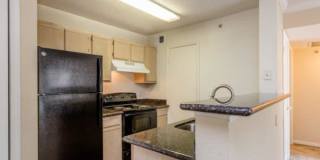 5055 Von Scheele Dr, #610 Gallery 10
